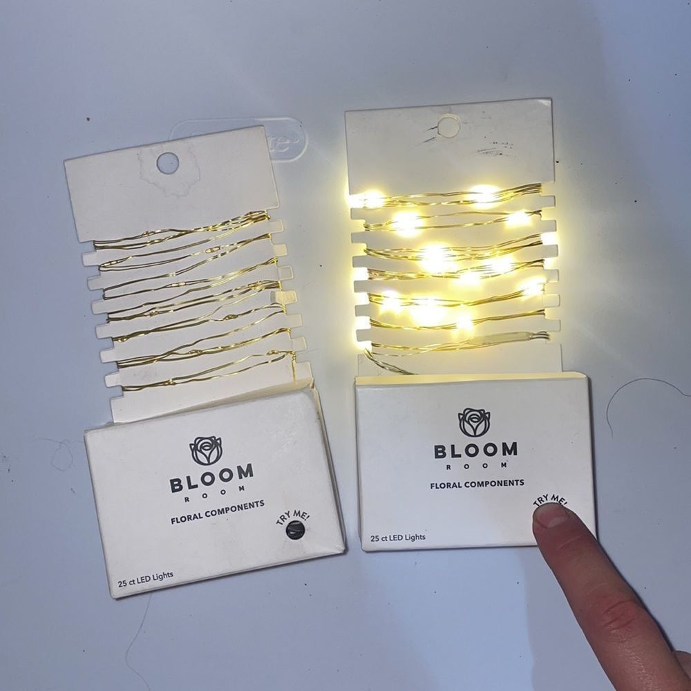 2 x Bloom Room 25 ct LED Mini Gold Wire with Warm White String Lights